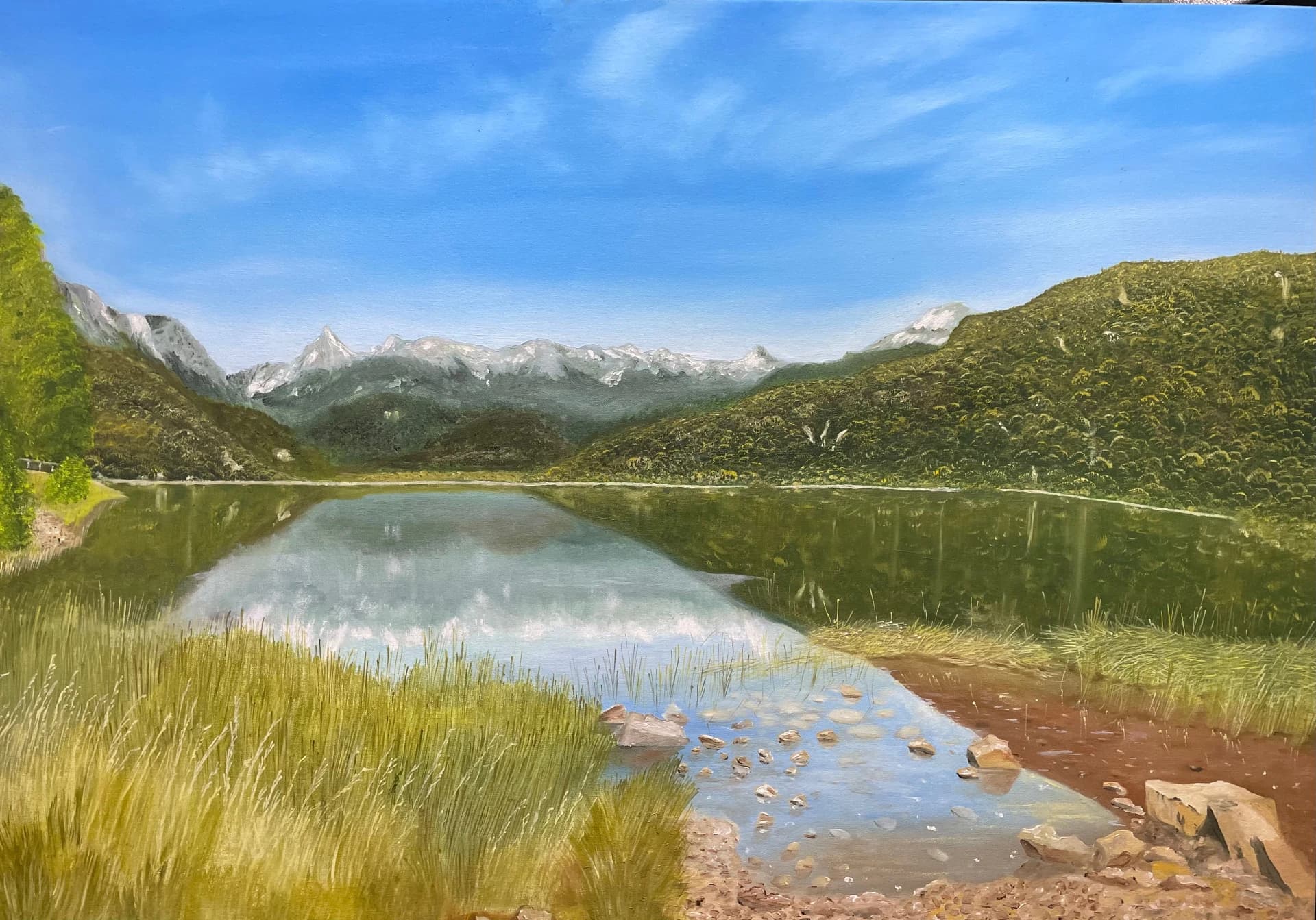 Río Cisnes