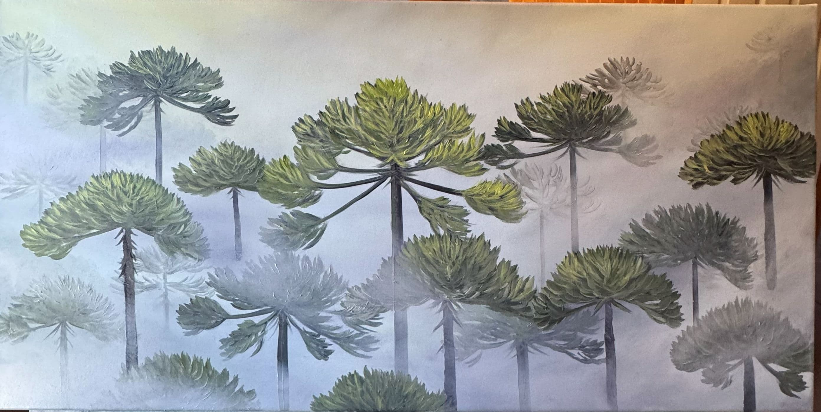 Araucarias en Niebla
