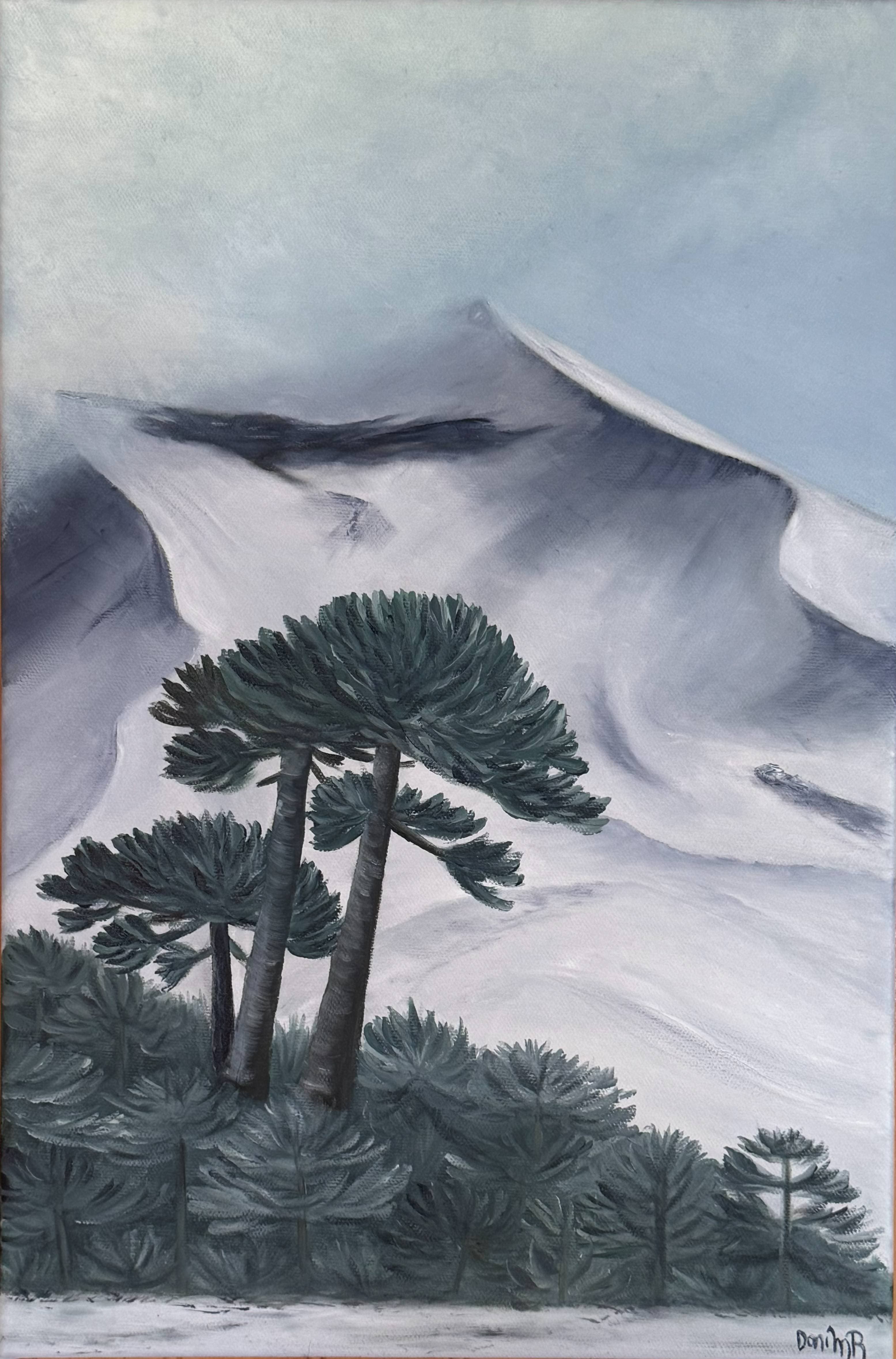 Araucaria Milenaria y el Lonquimay