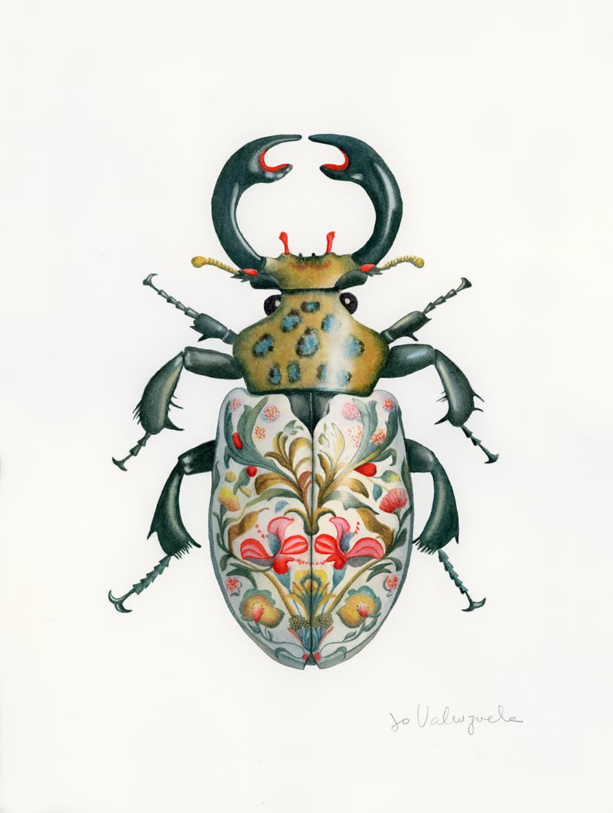 Escarabajo de porcelana